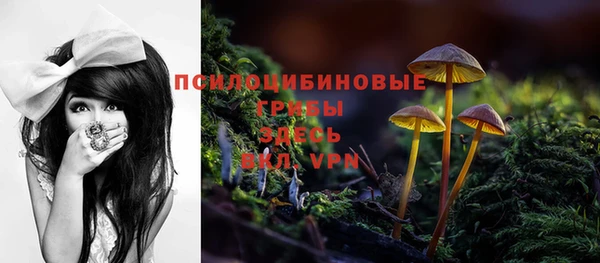 герыч Алексин