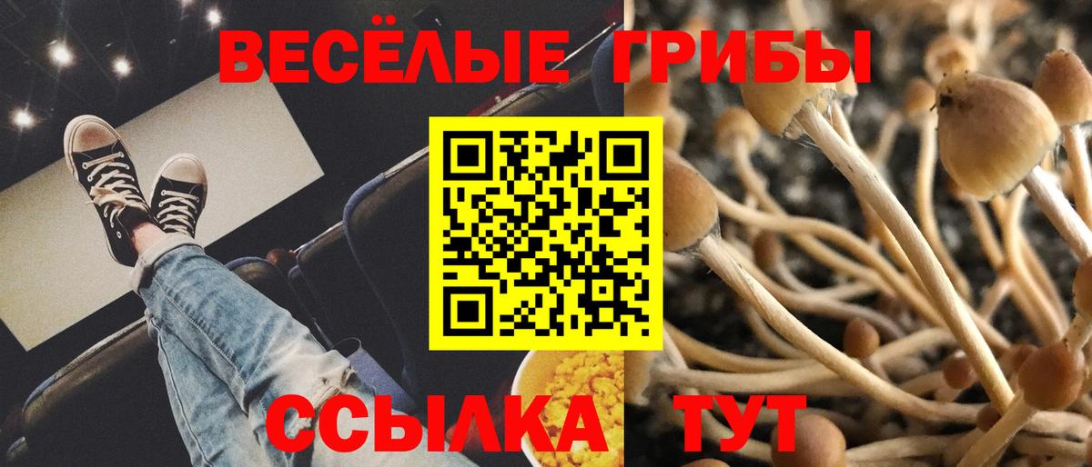 Галлюциногенные грибы GOLDEN TEACHER  Псилоцибиновые грибы Cubensis  Вход с VPN  Новоалександровск 